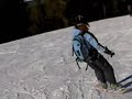 Ester Shreds