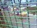 videos de Haus Natur und Umwelt Teil 2
