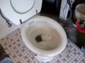 Toilet Auger