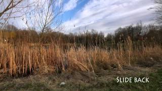 Timelapse with slider + Merlin/Orion head