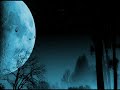 Zentriert ins Antlitz - Silence Diary (Empty Page Mix by Autoclav1.1)