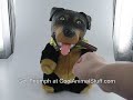 Triumph Dog Toy Triumph Dog Toy