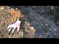 Alien Hunt a.k.a. gay sex animals