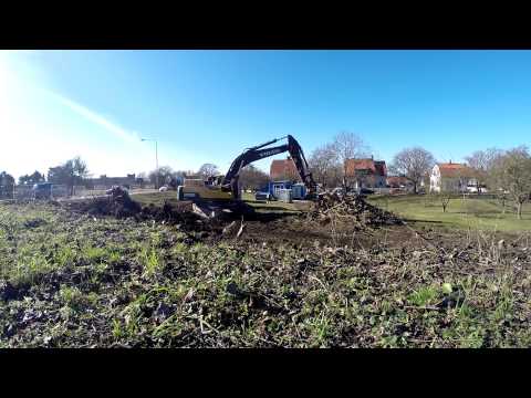 how to collect firewood