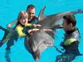 delphin therapy austic child thomas and melanie delphin therapy austic child thomas and melanie