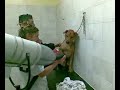 Washing Gon