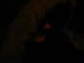 Saw trailer
