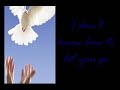 do what you have to do by sarah mclachlan