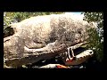 La Baleine