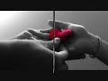 Honey Drop-Yellow Honey Drop-Yellow