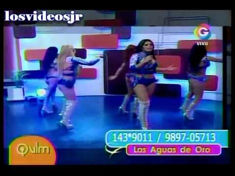 mujeres con perros