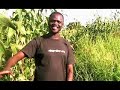 http://www.valentinoachakdeng.org
in september 2008 valentino achak deng and dave eggers were back in valentino's hometown of marial bai, southern sudan, where they are constructing a secondary school and a large educational center using the proceeds from eggers's novel what is the what. in this clip, they take a tour of valentino's home in marial bai and meet his family.

to learn about the valentino achak deng foundation and our school-building project in marial bai, or for more about dave and valentino's recent trip to sudan, please visit www.valentinoachakdeng.org.