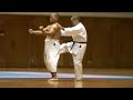 Terauchi Kazuo Sensei- sanchin kata