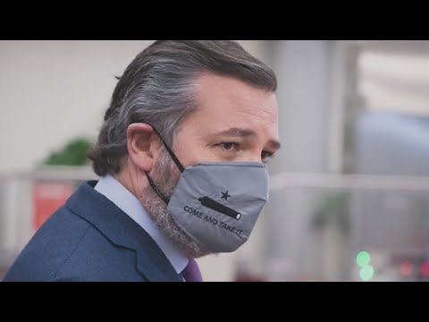 Calls for U.S. Sen. Ted Cruz to resign come after U.S. Capitol riot