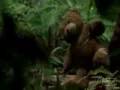 LOST-Music-Video-The
