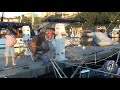 Seagull - Ferzan