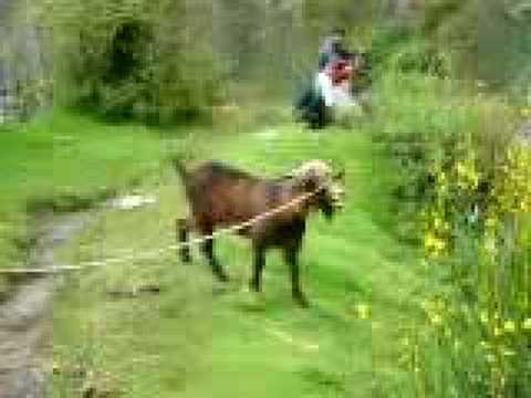 YouTube Preview Image