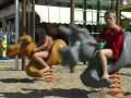 videos de Cattolica Hotel con piscina in spiaggia