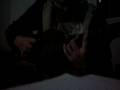 acoustic,Belo,Demo