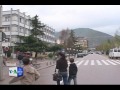 Pogradec-Fushata parazgjedhore