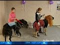 Видеоновость Тюмень. Необычная "елка" для детей | Собачий маскарад 