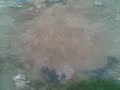 rakho_rakho@hotmail.com rakho_rakho@hotmail.com