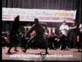 Exhibición Bujinkan Colombia 2003