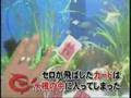 Cero - L'aquarium