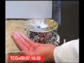 Handshield Acid Test