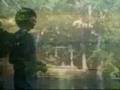 videos de The Great Summer of 2008