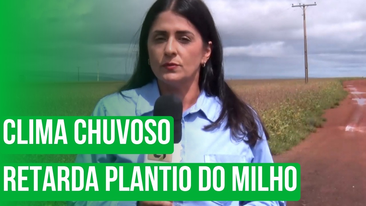 Clima chuvoso retarda plantio do milho