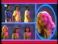 The Surfers - Windsurfing (1979).
