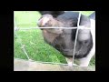 Sneinton Site Video Part 2 Sneinton Site Video Part 2