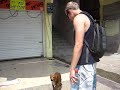 walking around Tiberius