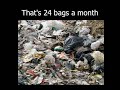 No Plastic Bags