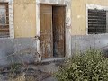 casas muertas 6/6