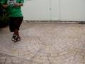 videos de GizZ' & D.K C-WalK 2 WaY