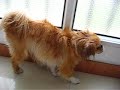 Have a bath
