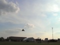 Click here to watch this video Of Kite Tricking, Bees, and Synthesizers
