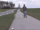 INLINESKATEN mit Cira INLINESKATEN mit Cira