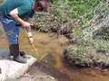 Dan and the Snapping Turtle