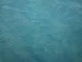 small fish in water @ perhentian