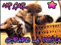 http://t.co/XUblFogD http://t.co/npQii7ka