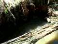 Sewage Spewing from a Sewer Manhole Stack