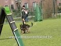 Atilla van het Bleekhof