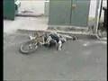 SkAte-BmX-MoUnTaN BikE-RoLLeR BlAdE ViDeO