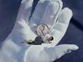Never Let Go! (Russian Authority Office Lesson C29-B)