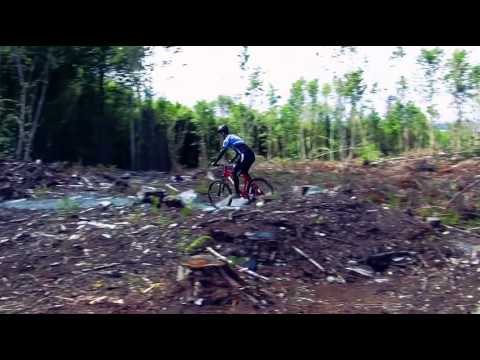 chain reaction cycles