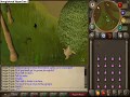 Fastest Agility Experience