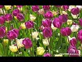 الحياة حلوه